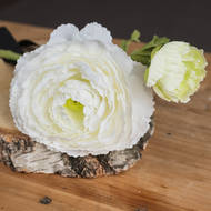 White Ranunculus Spray - Thumb 3