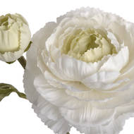 White Ranunculus Spray - Thumb 5