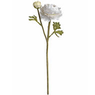 White Ranunculus Spray - Thumb 6