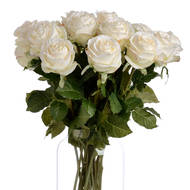 Traditional White Rose - Thumb 4