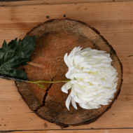 Large White Chrysanthemum - Thumb 2