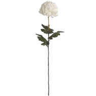Large White Chrysanthemum - Thumb 4