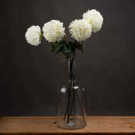 Large White Chrysanthemum - Thumb 1