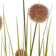 Pom Pom Grass Pot - Thumb 2
