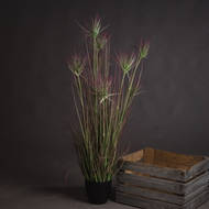 Water Bamboo Grass 48 Inch - Thumb 2