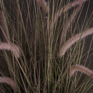 Wild Grass Pot 36 Inch - Thumb 3