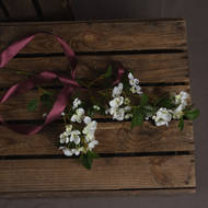 White Spring Mock Orange Flower - Thumb 2