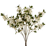 White Spring Mock Orange Flower - Thumb 4