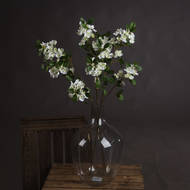 White Spring Mock Orange Flower - Thumb 1