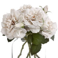 White Short Stem Rose - Thumb 4