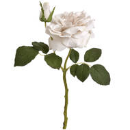 White Short Stem Rose - Thumb 6