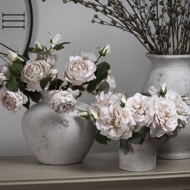 White Short Stem Rose - Thumb 7