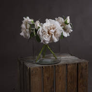 White Short Stem Rose - Thumb 1