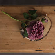Dusty Pink Short Stem Fashion Rose - Thumb 2