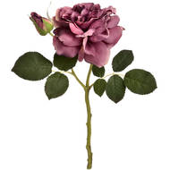 Dusty Pink Short Stem Fashion Rose - Thumb 6