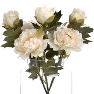 White Fashion Peony - Thumb 4