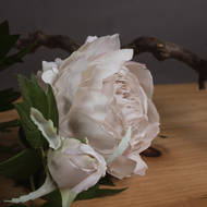 Grey Spray Rose Peony - Thumb 3