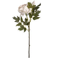 Grey Spray Rose Peony - Thumb 6