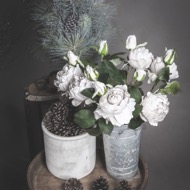 Grey Spray Rose Peony - Thumb 7