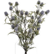 Eryngium Blue Thistle - Thumb 4