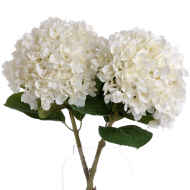 Oversized White Hydrangea - Thumb 3