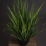 Large Field Grass pot - Thumb 2