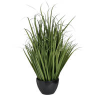 Large Field Grass pot - Thumb 4
