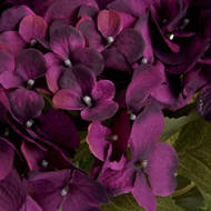 Purple Hydrangea Bouquet - Thumb 5