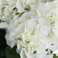 White Hydrangea Bouquet - Thumb 5