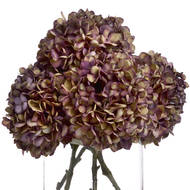 Autumn Burgundy Hydrangea - Thumb 4