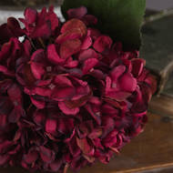 Autumn Ruby Hydrangea - Thumb 3