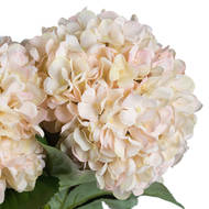 Autumn White Hydrangea - Thumb 5