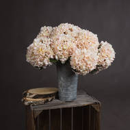 Autumn White Hydrangea - Thumb 1