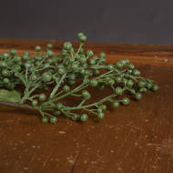 Green Berry Spray - Thumb 3