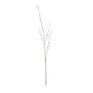 Pussy Willow Branch - Thumb 6