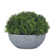 Small Hebe Globe Pot - Thumb 4