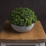 Small Hebe Globe Pot - Thumb 1