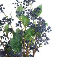 Viburnum Berry - Thumb 5