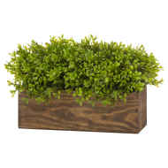 Topiary Box - Thumb 2