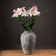 Stargazer Lily - Thumb 1