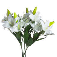 White Lily - Thumb 3