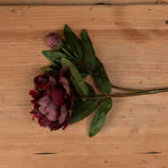 Burgundy Peony Rose - Thumb 2