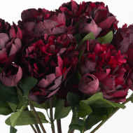 Burgundy Peony Rose - Thumb 5