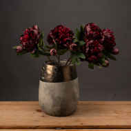 Burgundy Peony Rose - Thumb 1