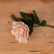 Peach Peony Rose - Thumb 2