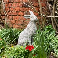 Large Sitting Outdoor Hare Statue - Thumb 3
