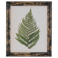 Rustic Framed Botanical Fern Picture - Thumb 1