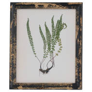 Rustic Framed Botanical Picture - Thumb 1