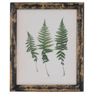 Rustic Framed Botanical Triple Fern Picture - Thumb 1