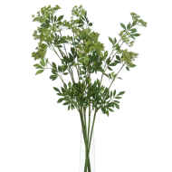 Faux Cow Parsley Ammi - Thumb 3